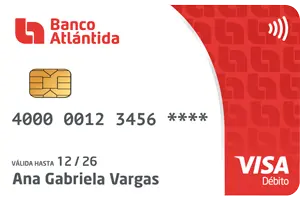 Tarjeta Visa Pago Clasica